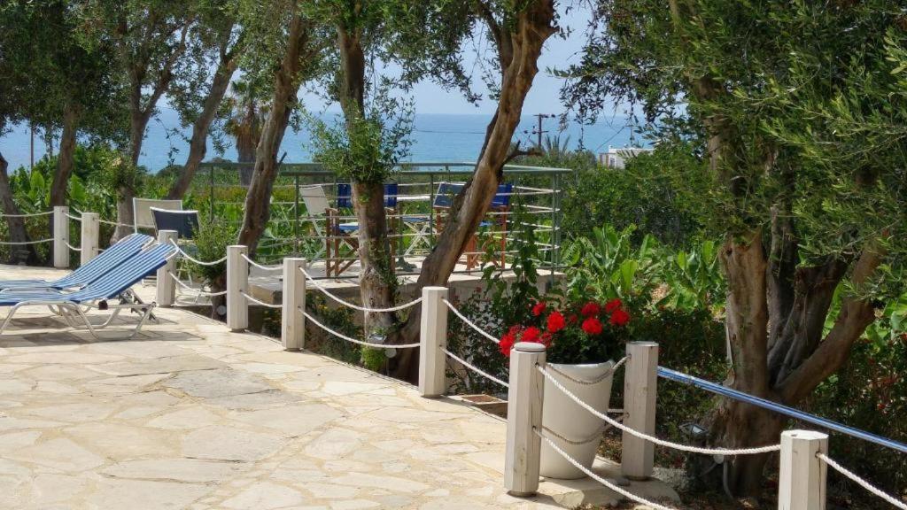 Banana Sunset Villas Paphos Luaran gambar