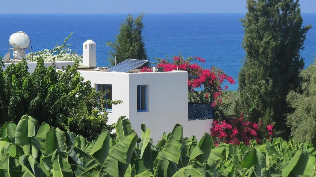 Banana Sunset Villas Paphos Luaran gambar