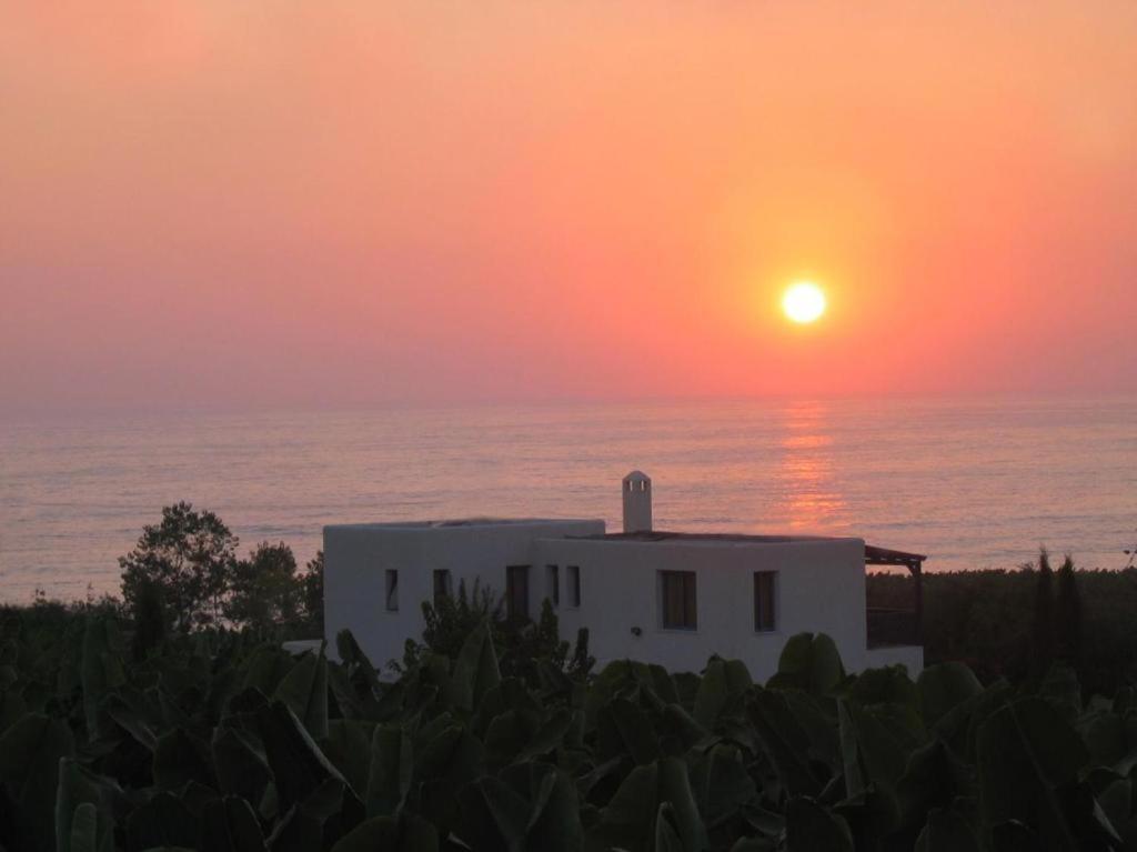 Banana Sunset Villas Paphos Luaran gambar