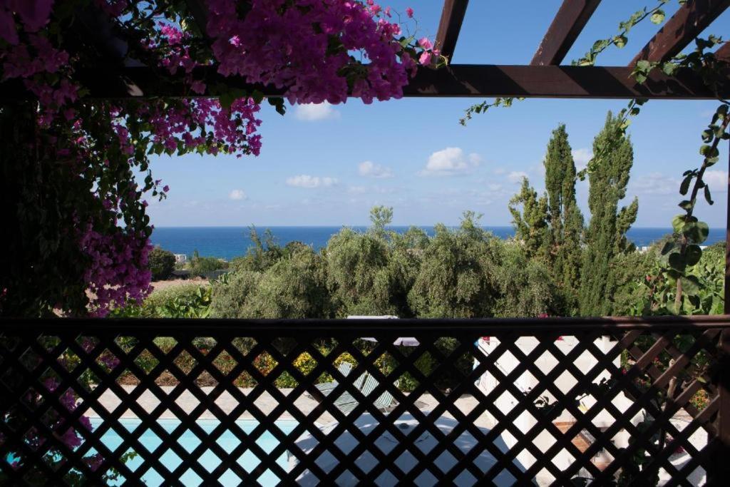 Banana Sunset Villas Paphos Luaran gambar
