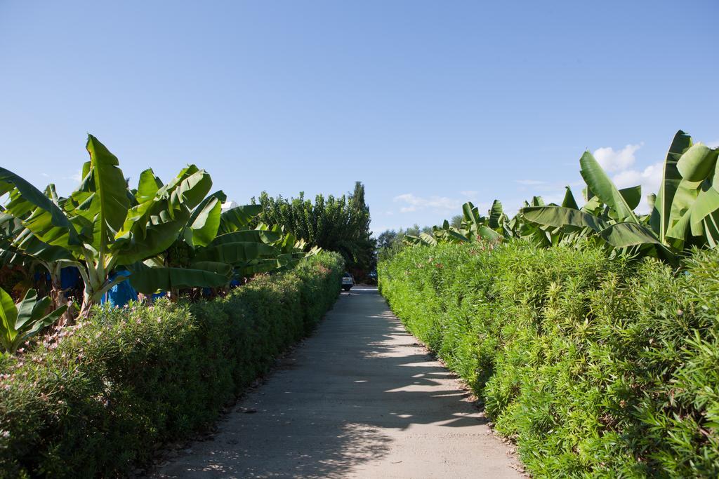 Banana Sunset Villas Paphos Luaran gambar